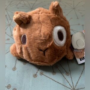 Bark squirrel friend